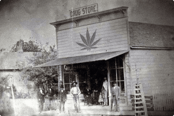 South Carolina cannabis history